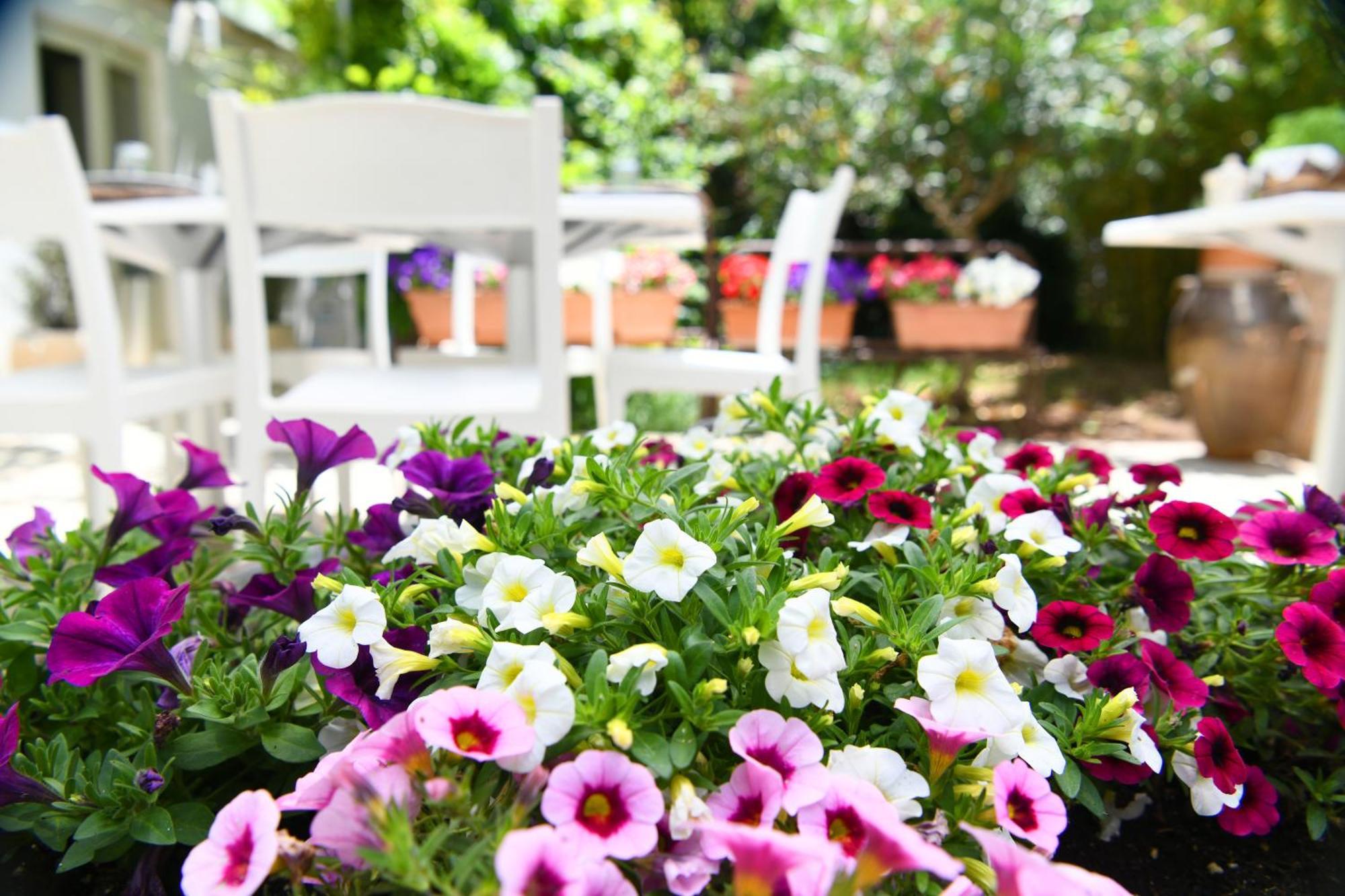 B&B Masseria Piccola Чистернино Экстерьер фото